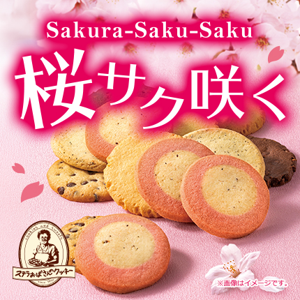 24sakura_430.jpg